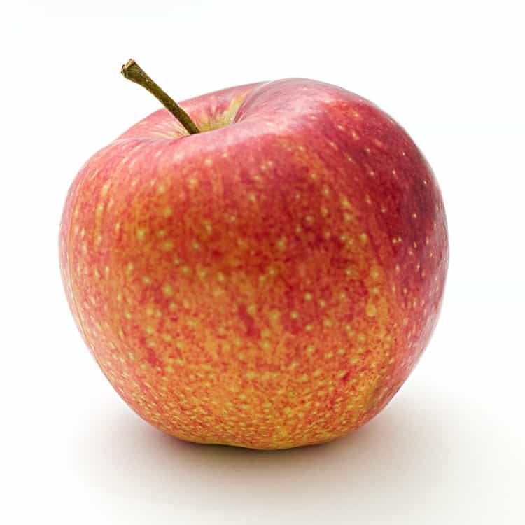 Shower Dome vs Steam Stopper Apples for Apples Shower Dome vs Steam Stopper Apples for Apples