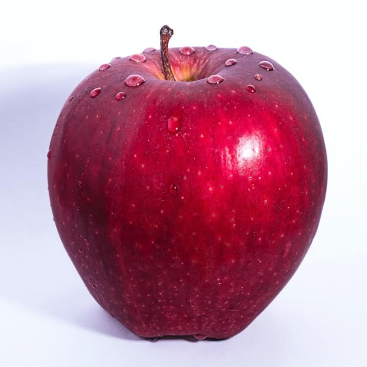 Steam Stopper vs Shower Dome Apples for Apples Steam Stopper vs Shower Dome Apples for Apples